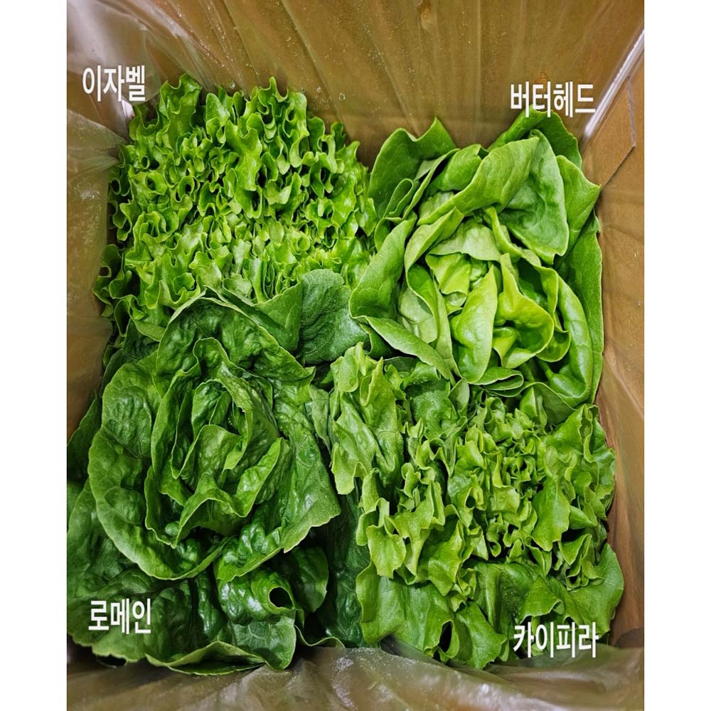 1717390932 thumbnail