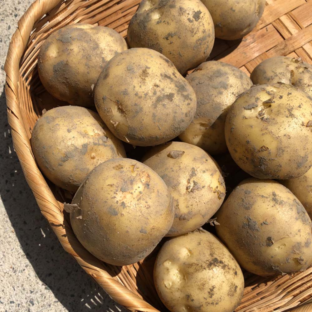 1717390933 thumbnail