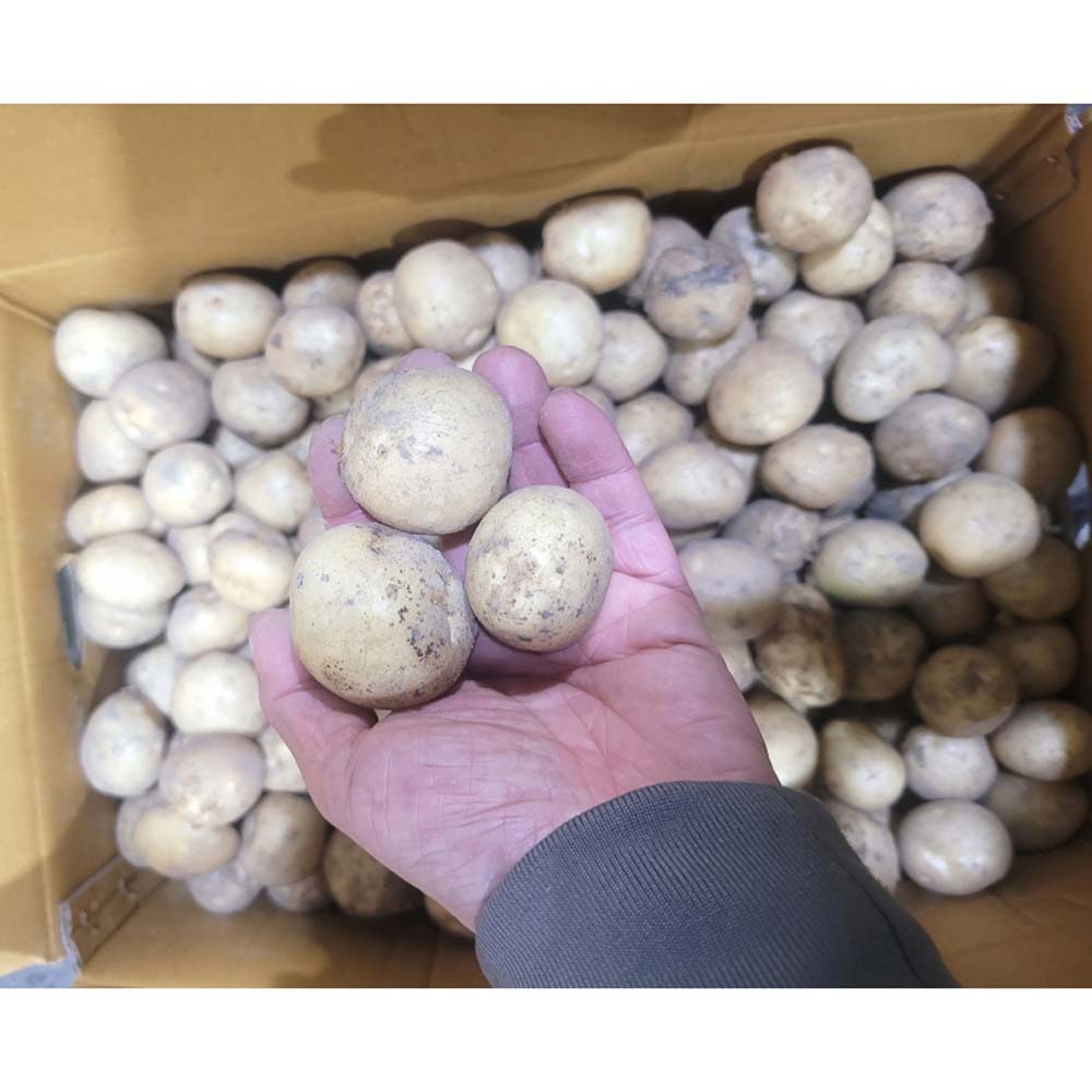 1717390935 thumbnail