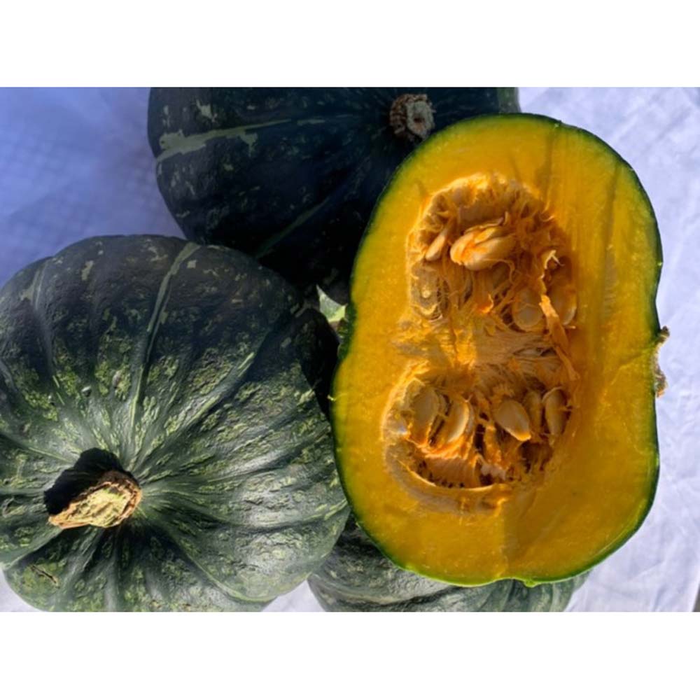 1717390936 thumbnail