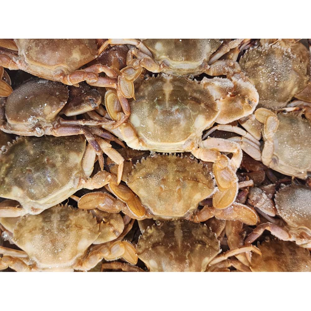 1717390945 thumbnail