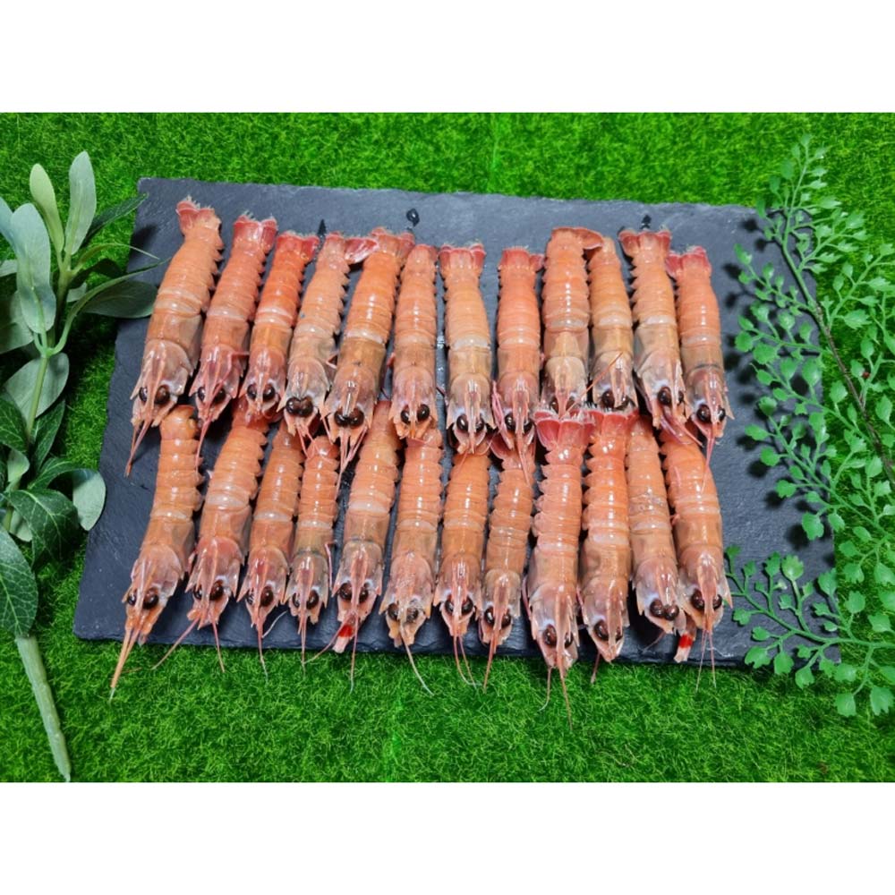 1717390947 thumbnail