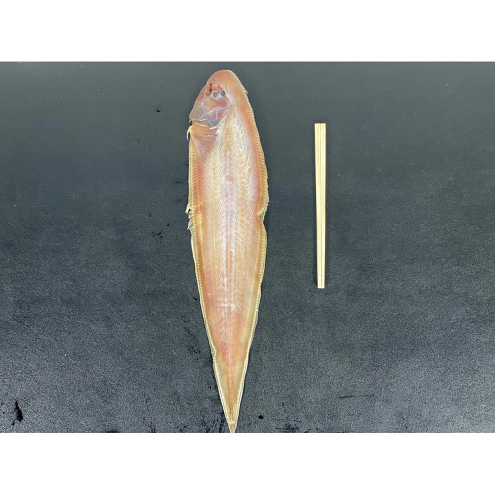 1717390954 thumbnail