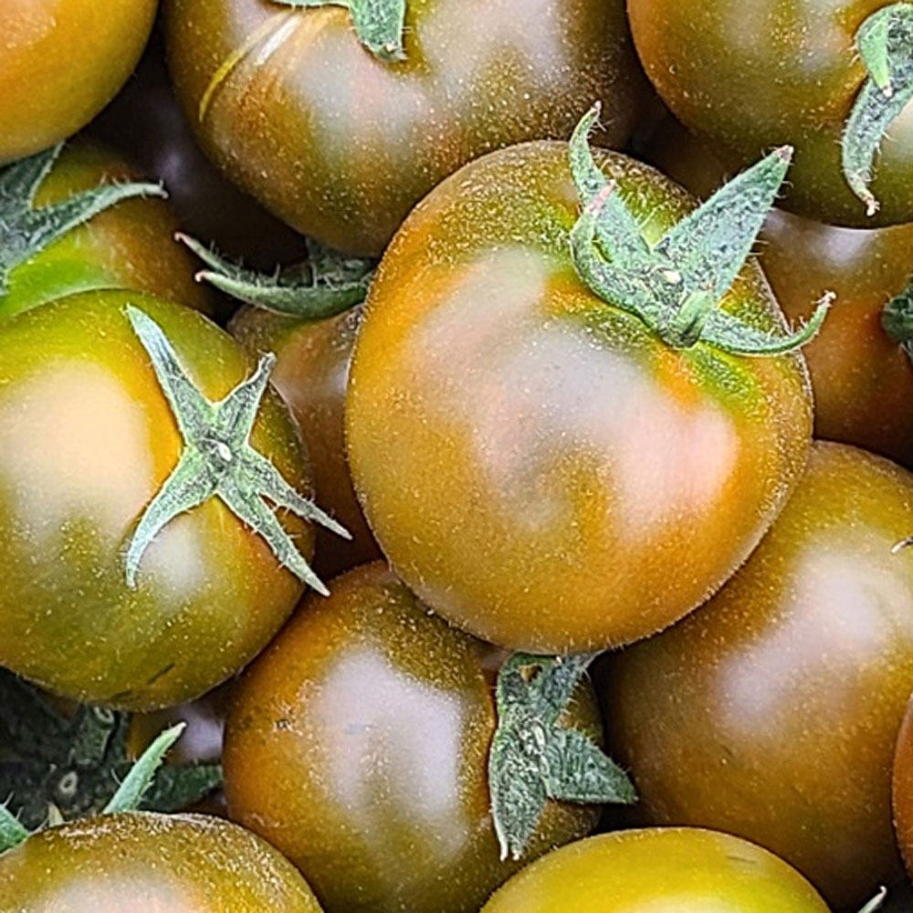 1717395041 thumbnail