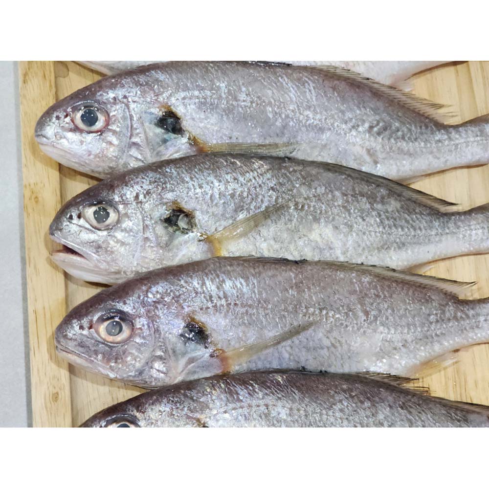 1717477291 thumbnail