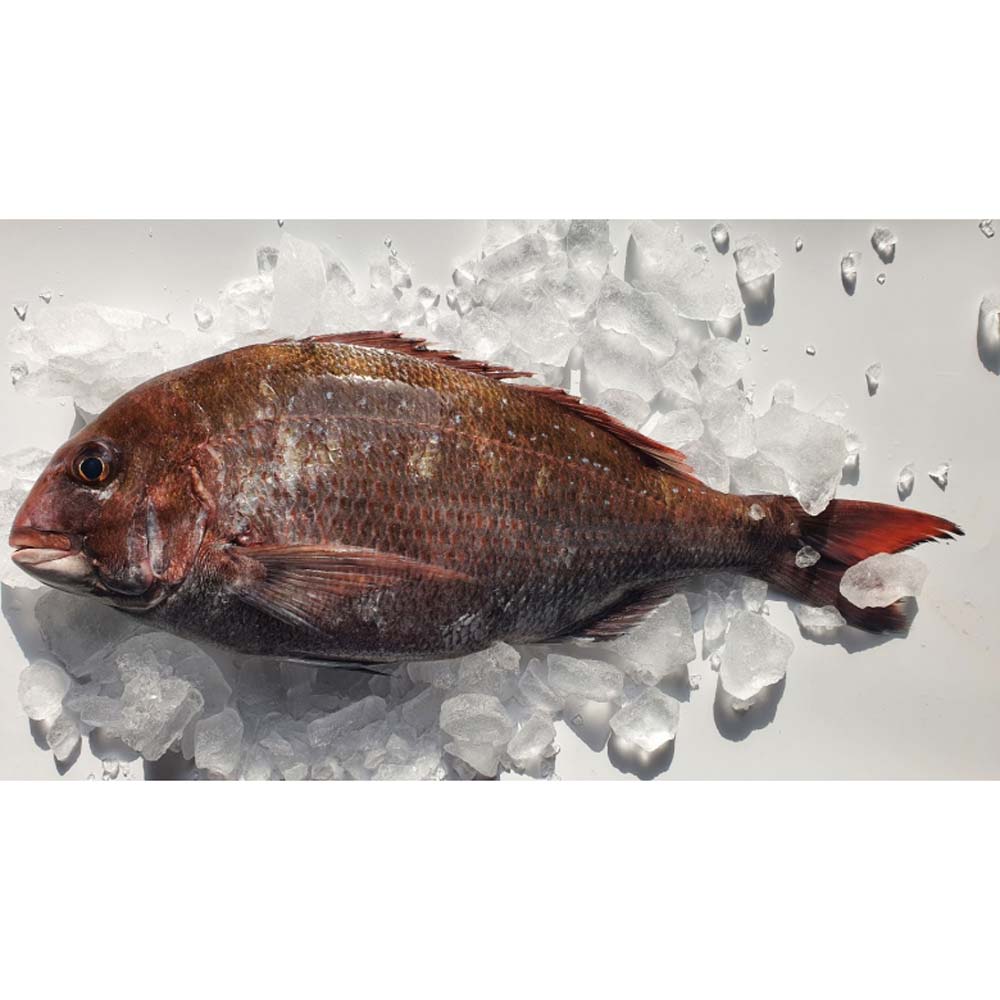 1717477292 thumbnail