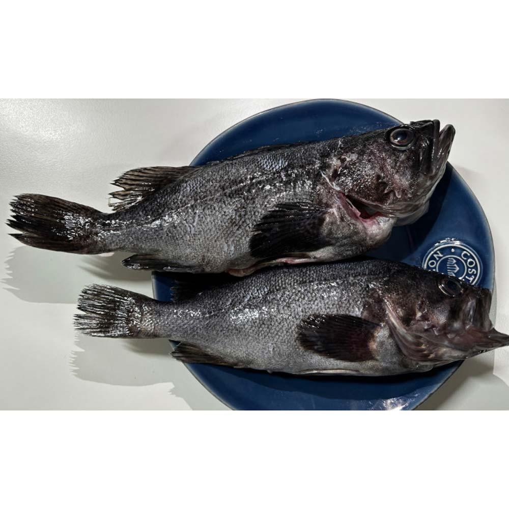 1717477293 thumbnail