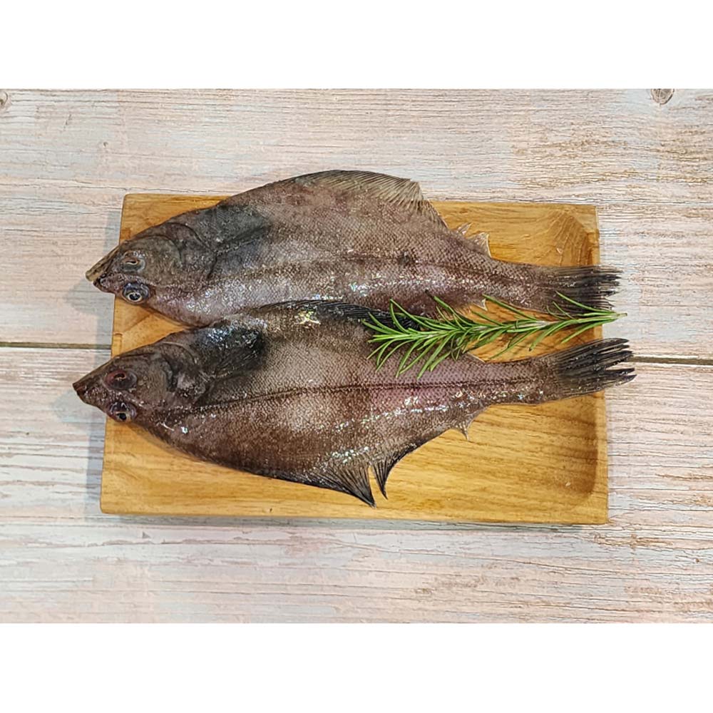 1717477294 thumbnail