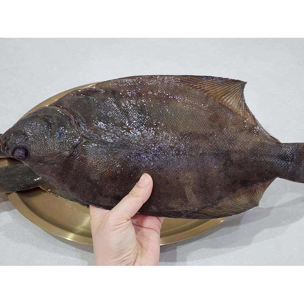 1717477298 thumbnail