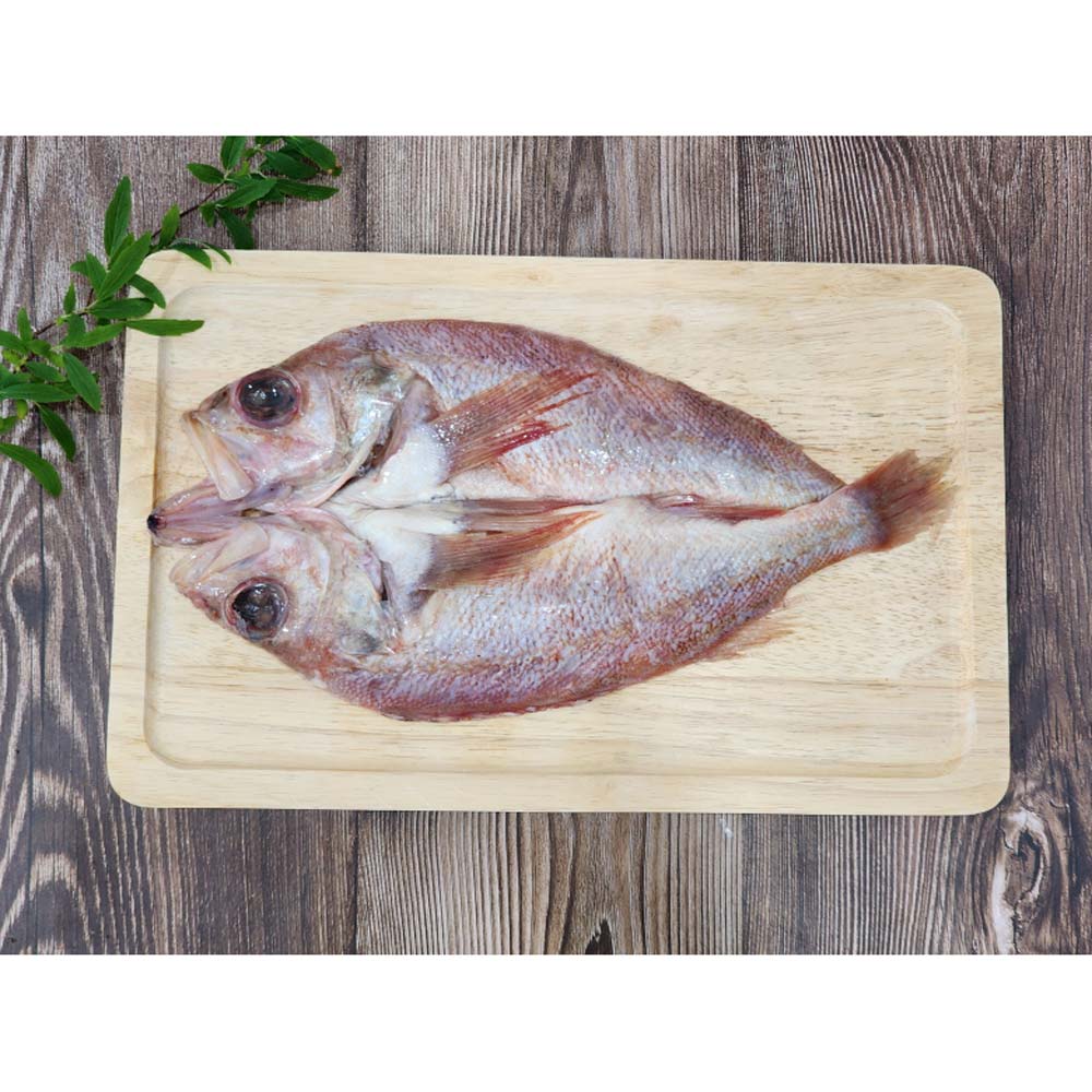 1717477301 thumbnail