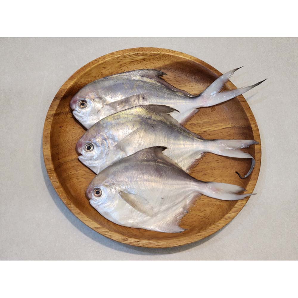 1717477312 thumbnail