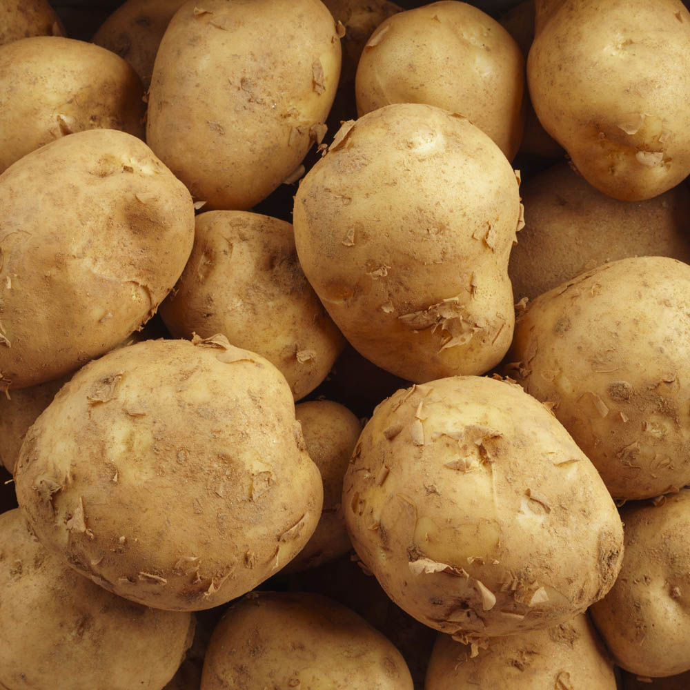 1717483863 thumbnail