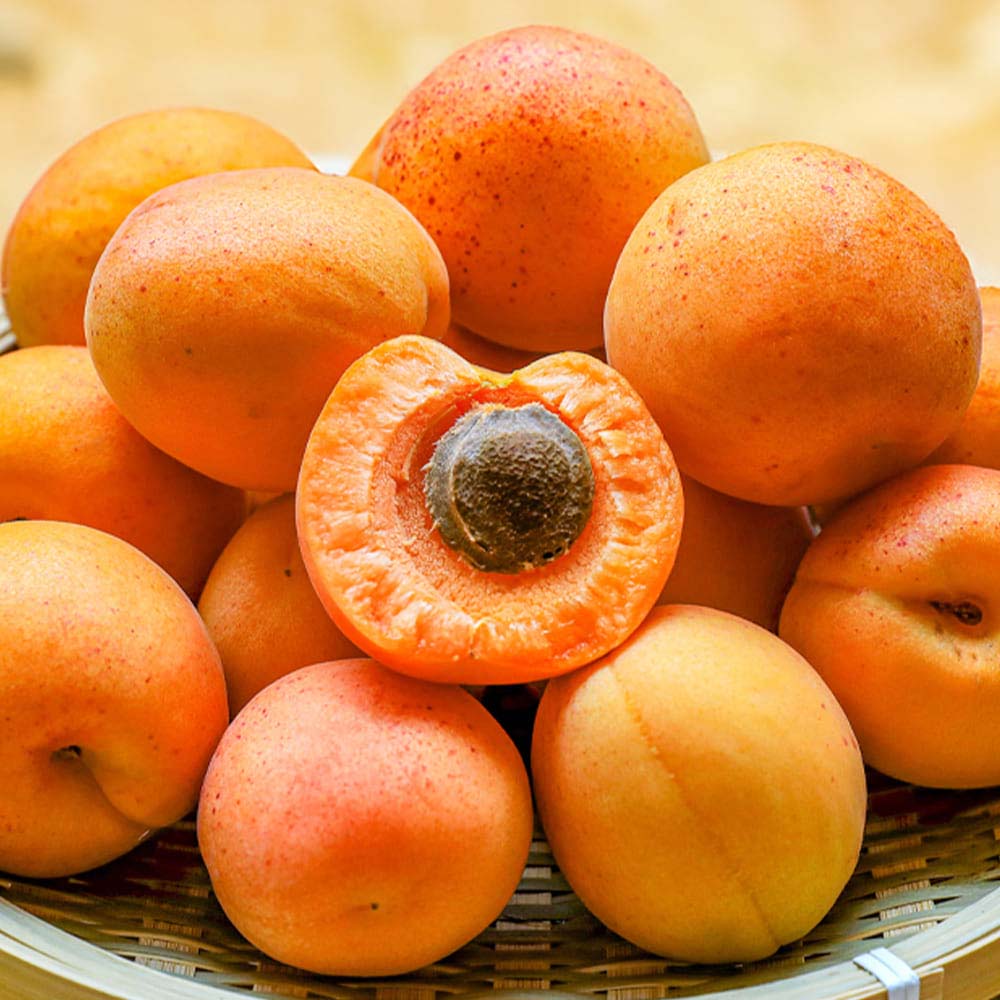 1717483881 thumbnail