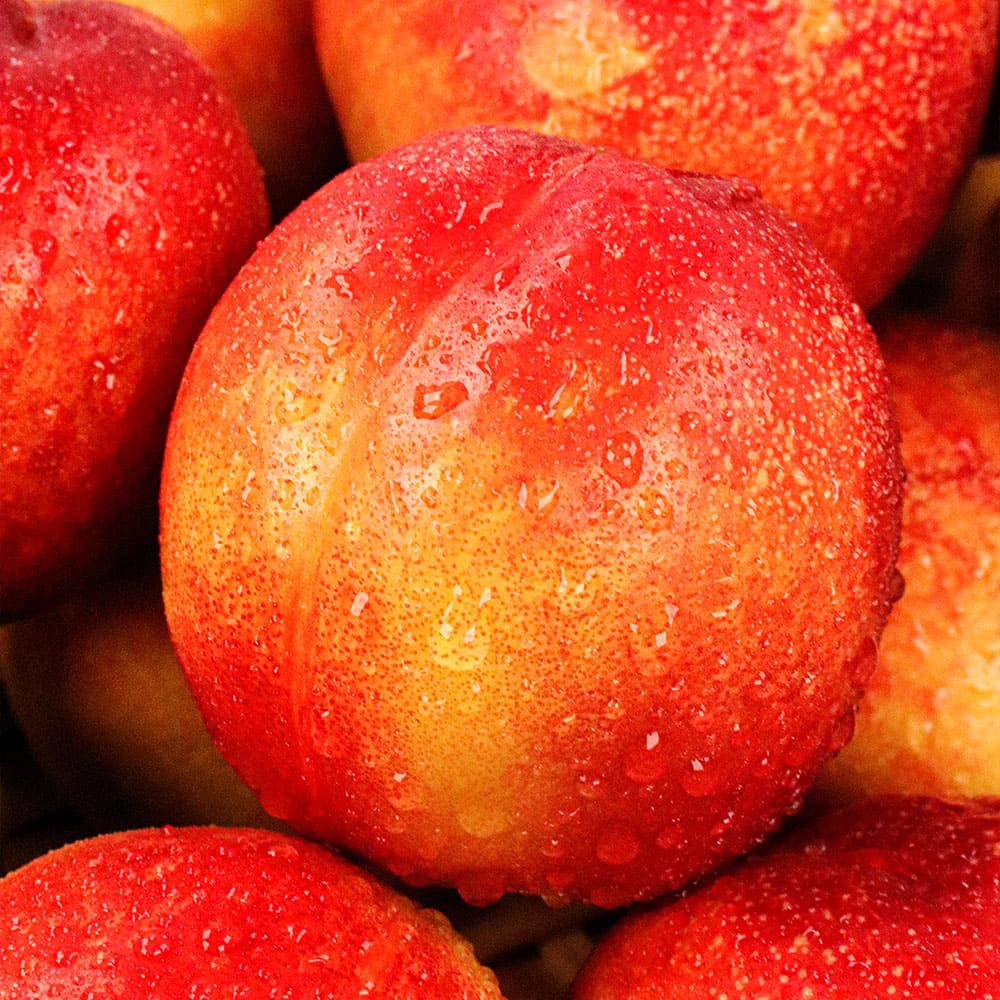 1717483888 thumbnail