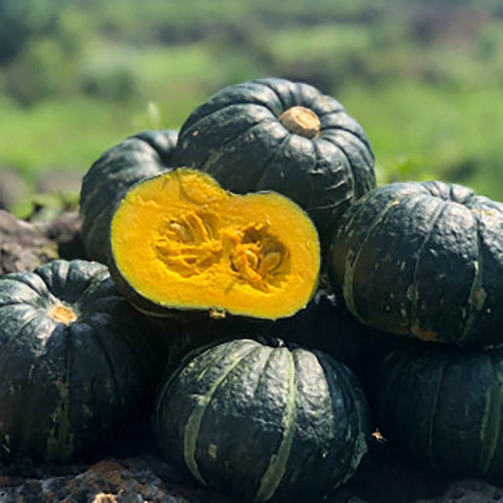 1717484321 thumbnail