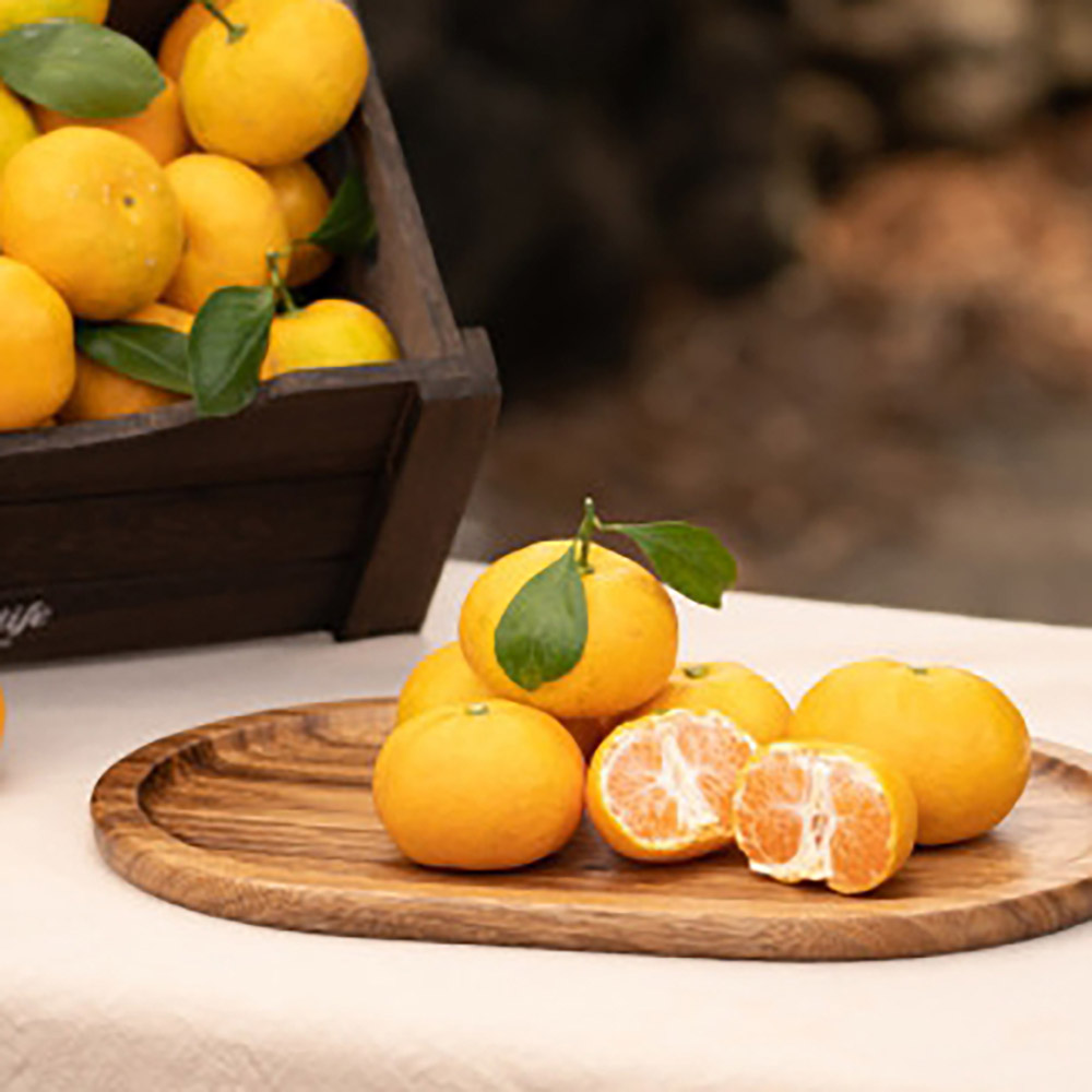 1717484322 thumbnail