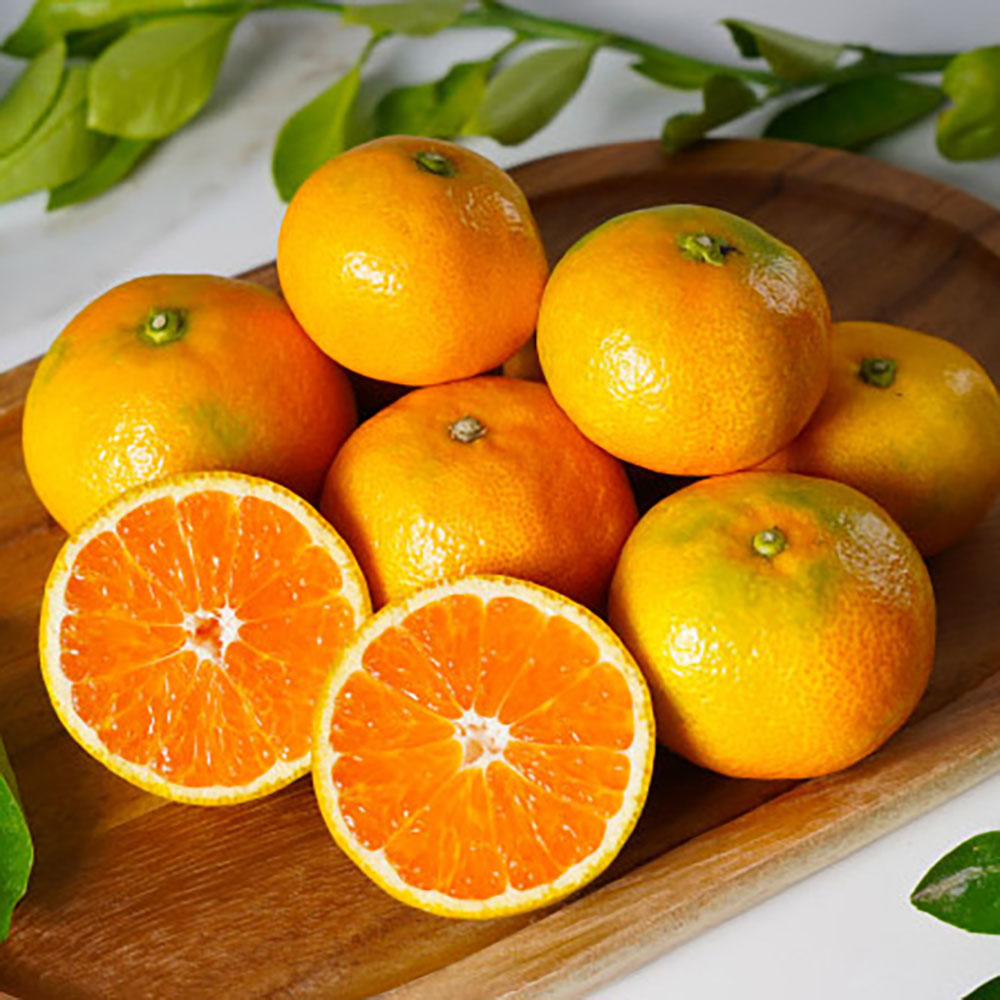 1717484323 thumbnail