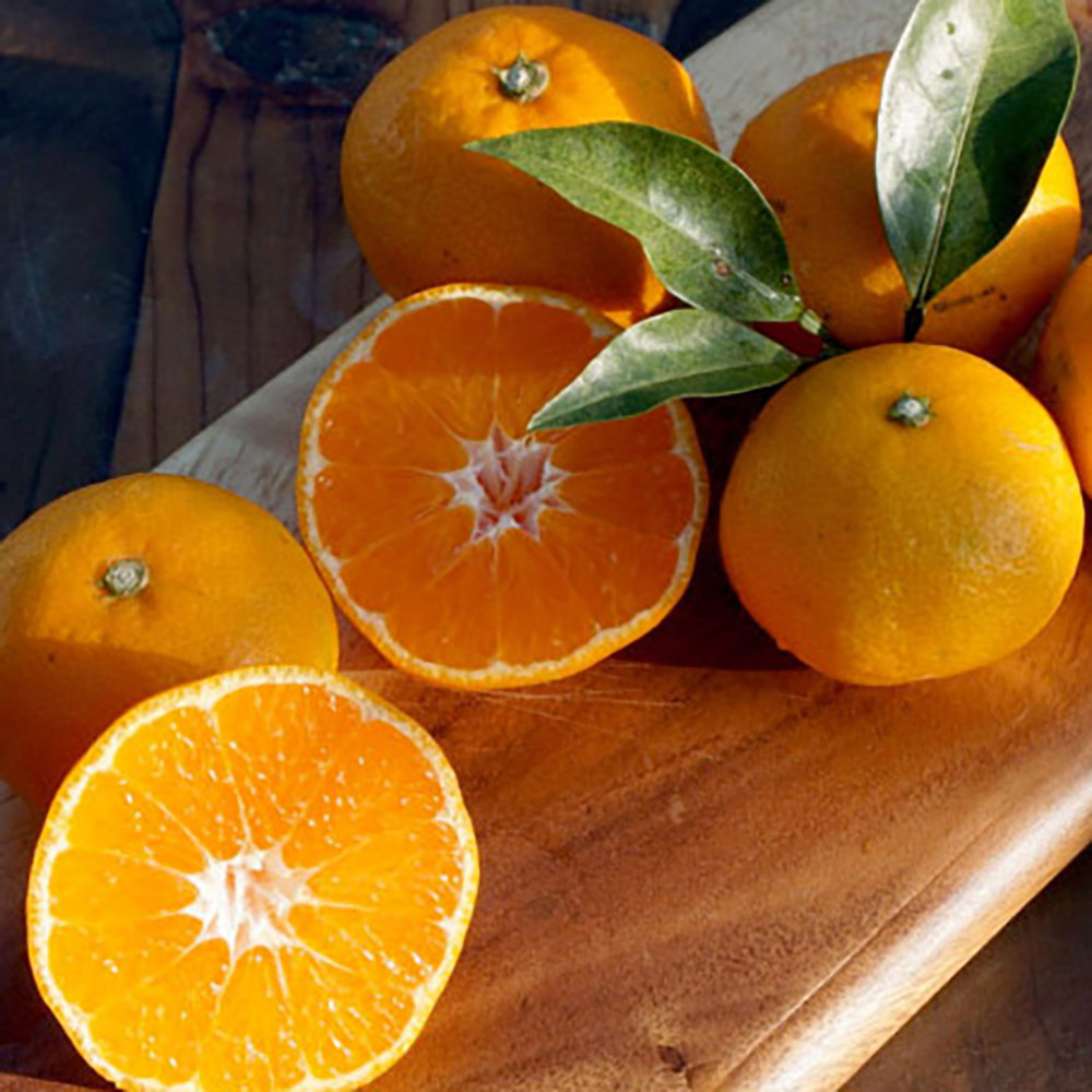 1717484324 thumbnail