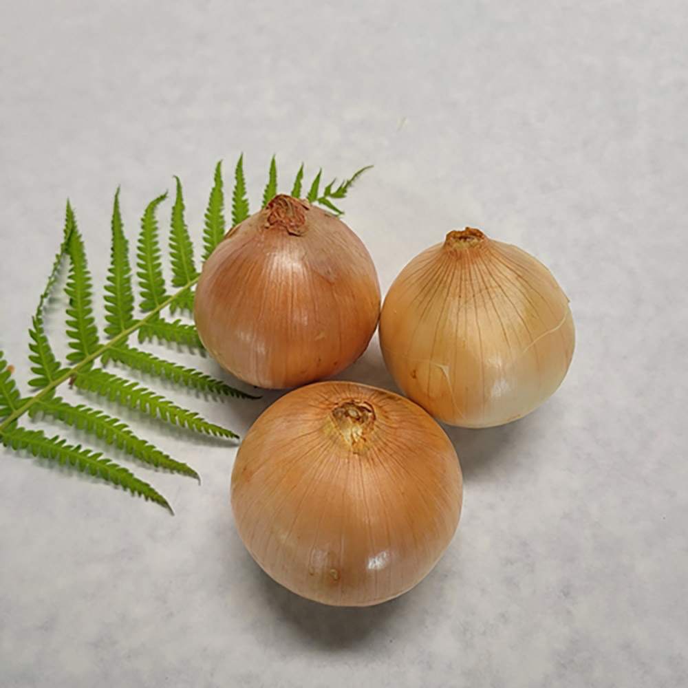 1717484364 thumbnail