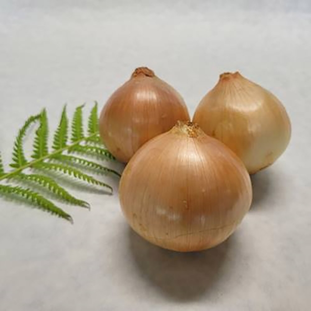 1717484368 thumbnail