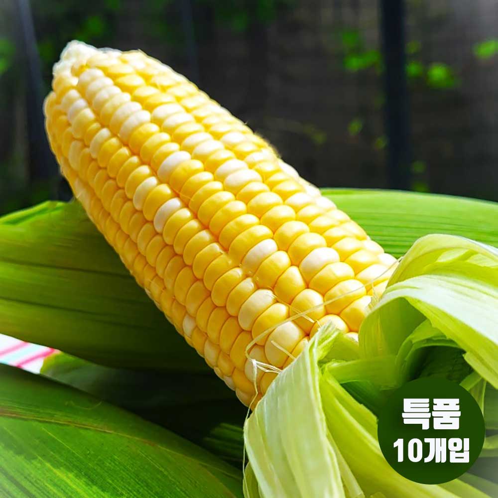 1717486324 thumbnail