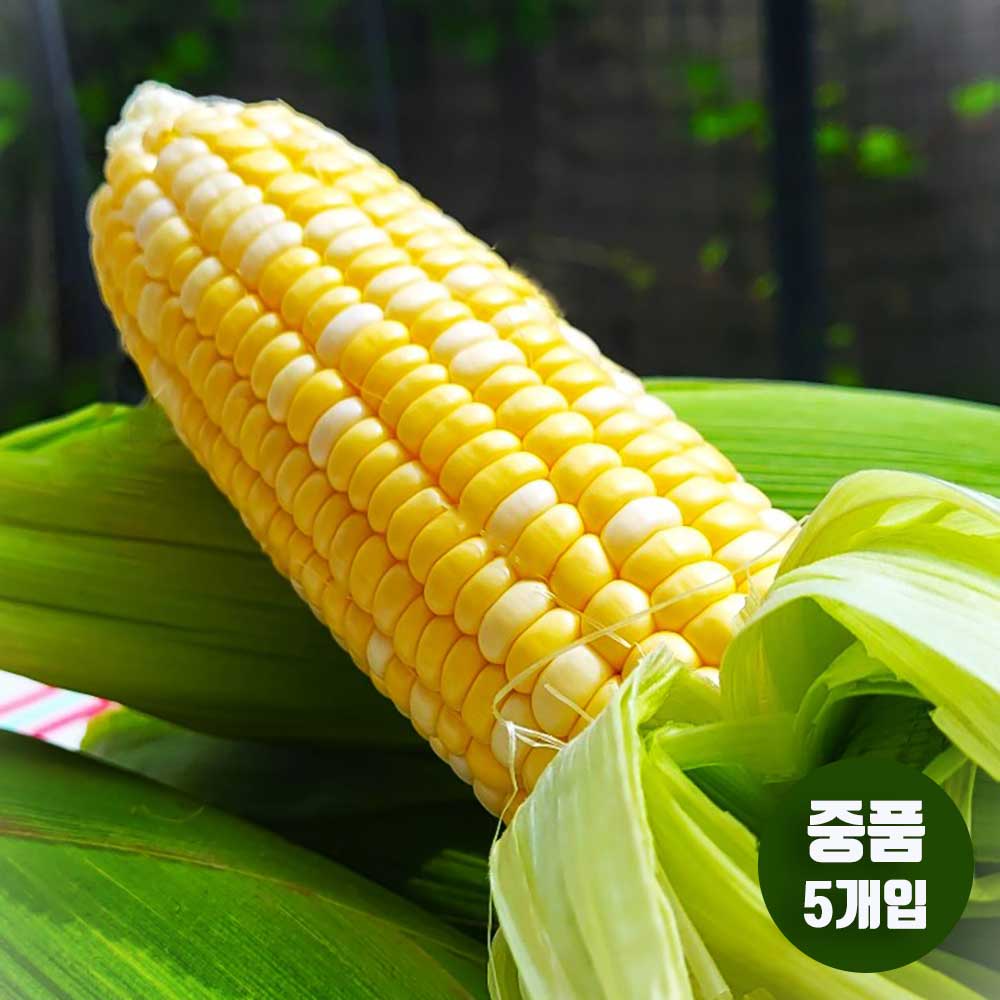 1717486326 thumbnail