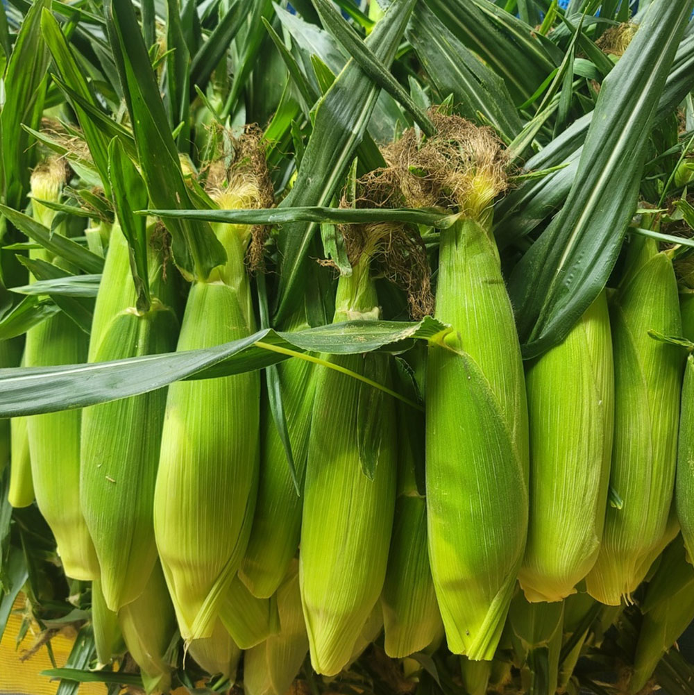 1717550688 thumbnail