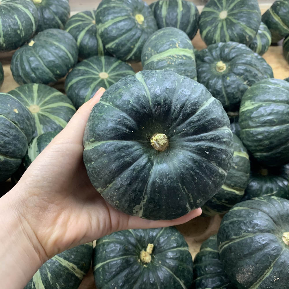 1717550691 thumbnail