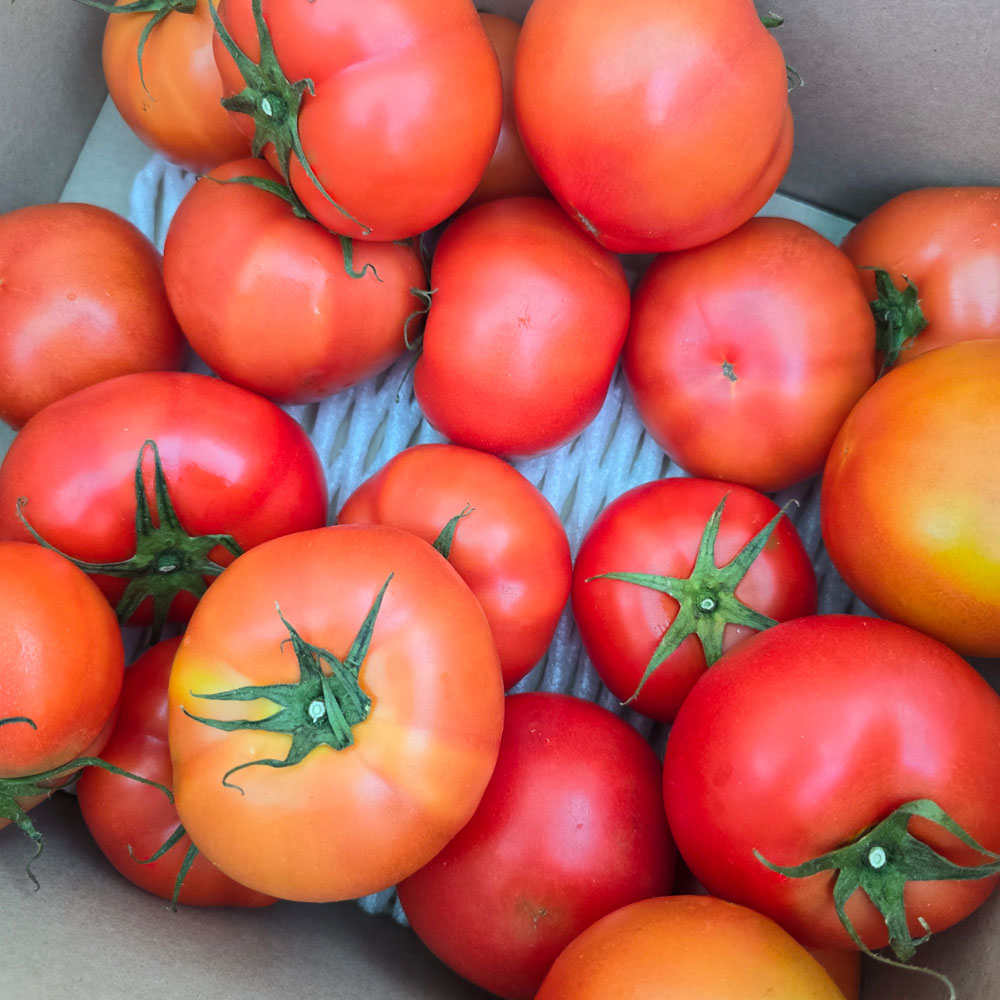 1717550712 thumbnail