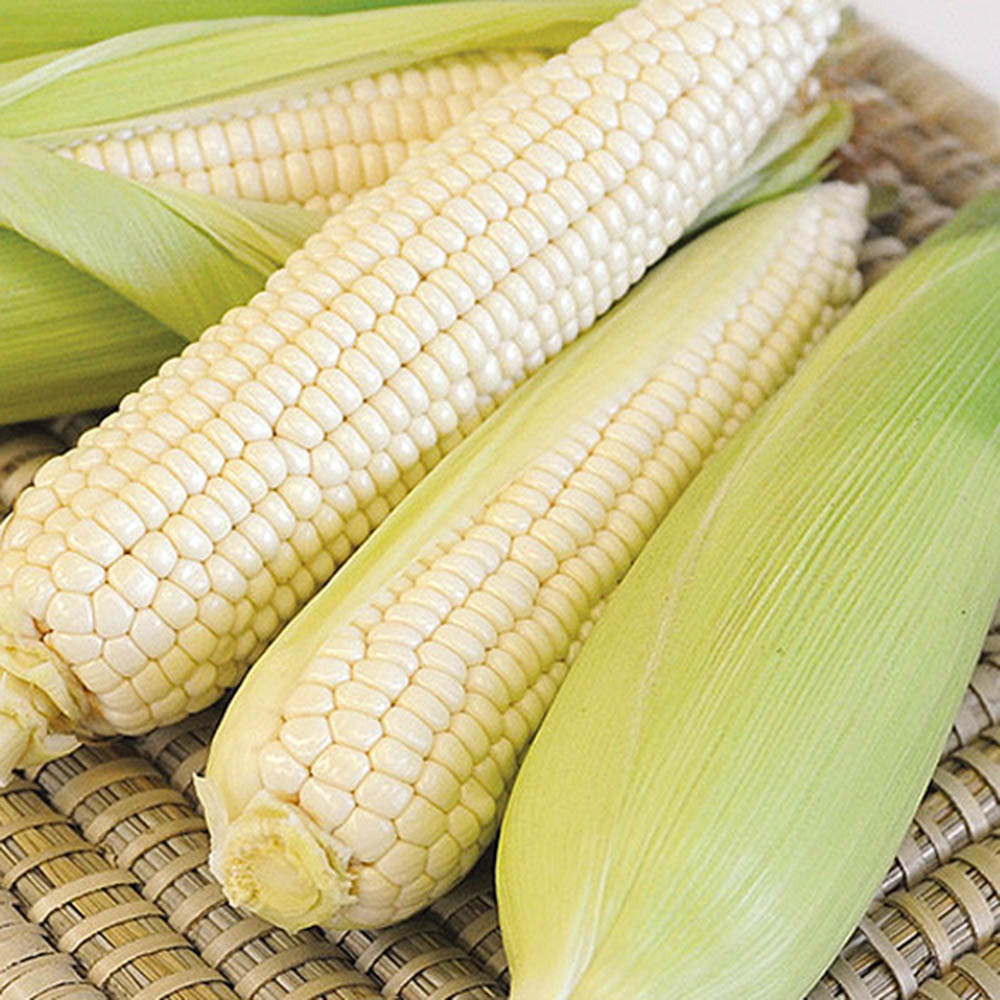 1717569495 thumbnail