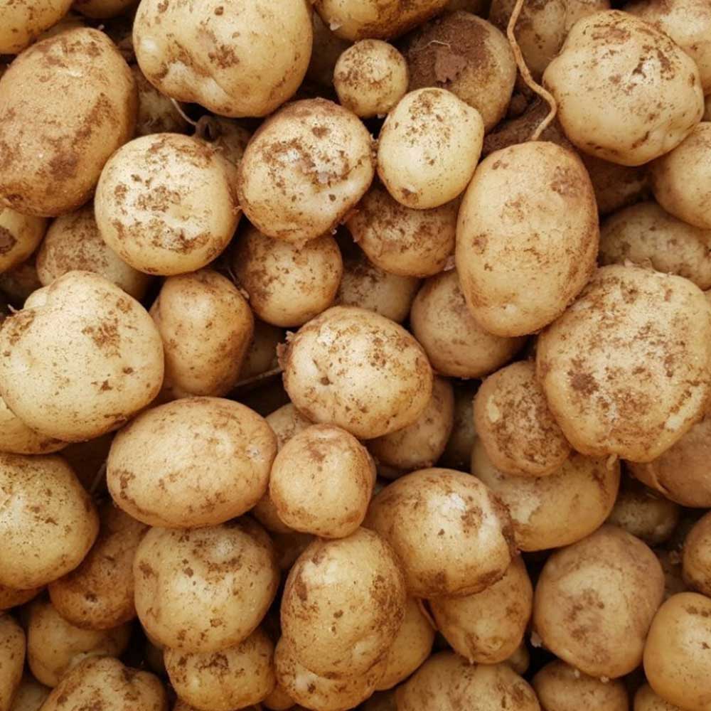 1717724334 thumbnail