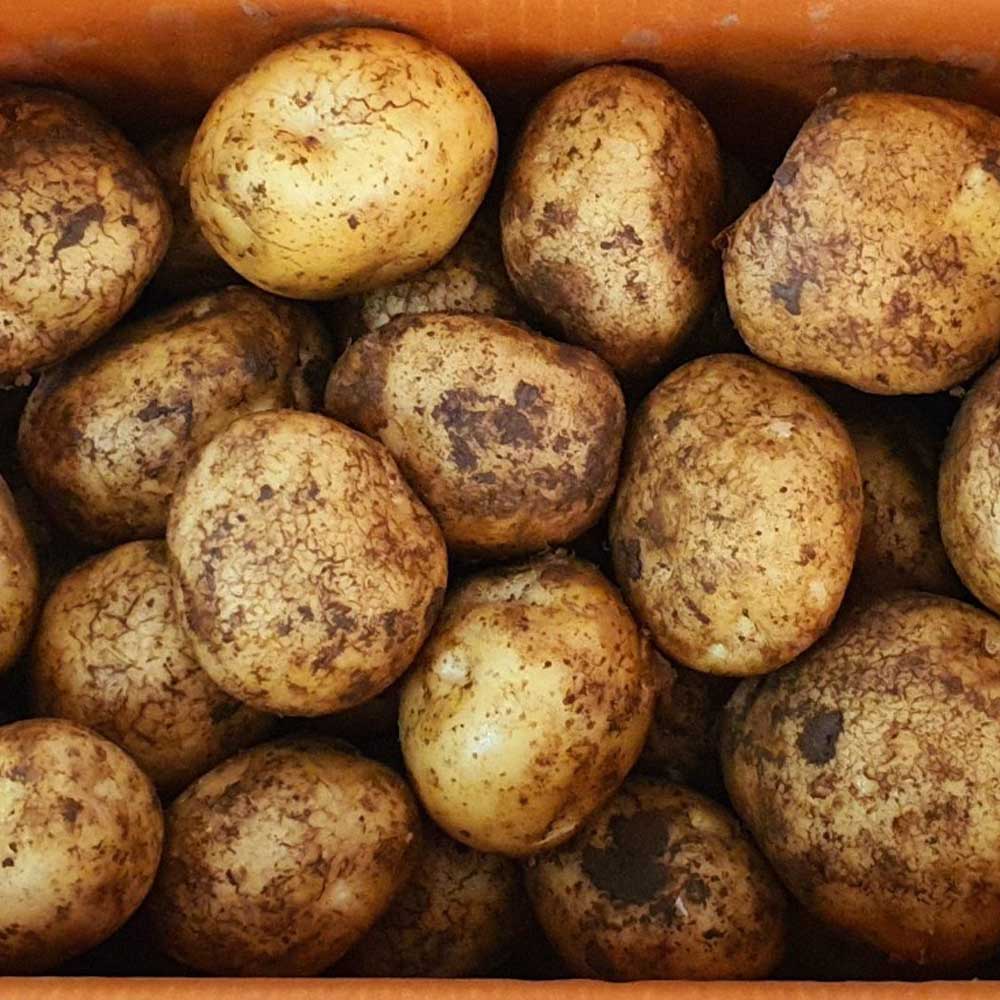 1717724335 thumbnail