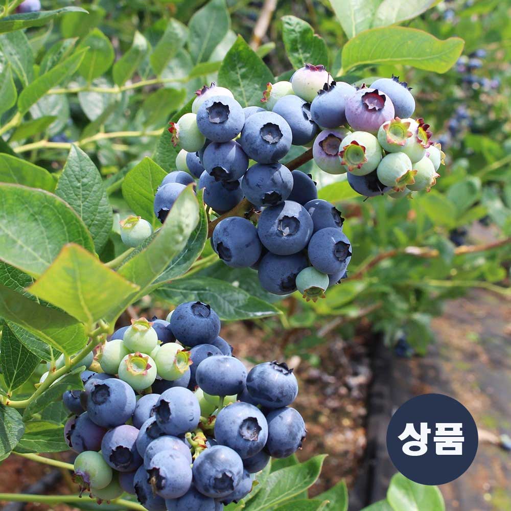 1717724336 thumbnail