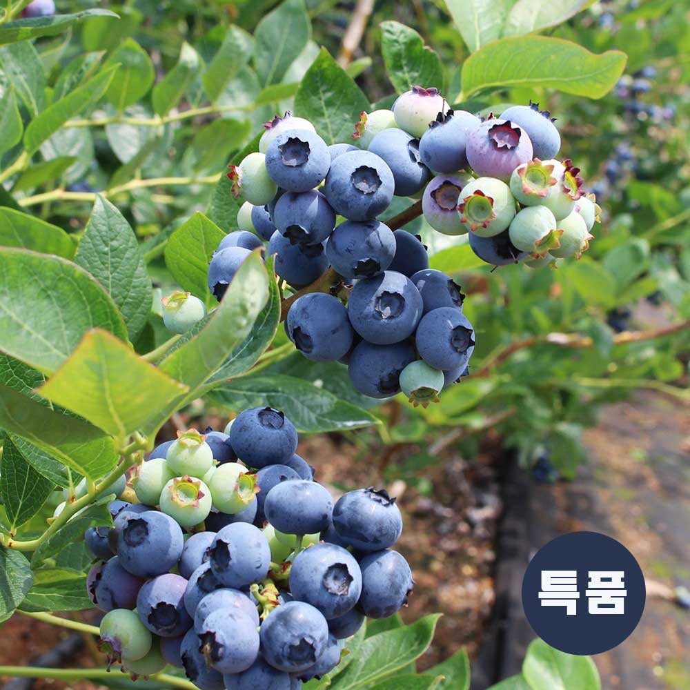 1717724337 thumbnail