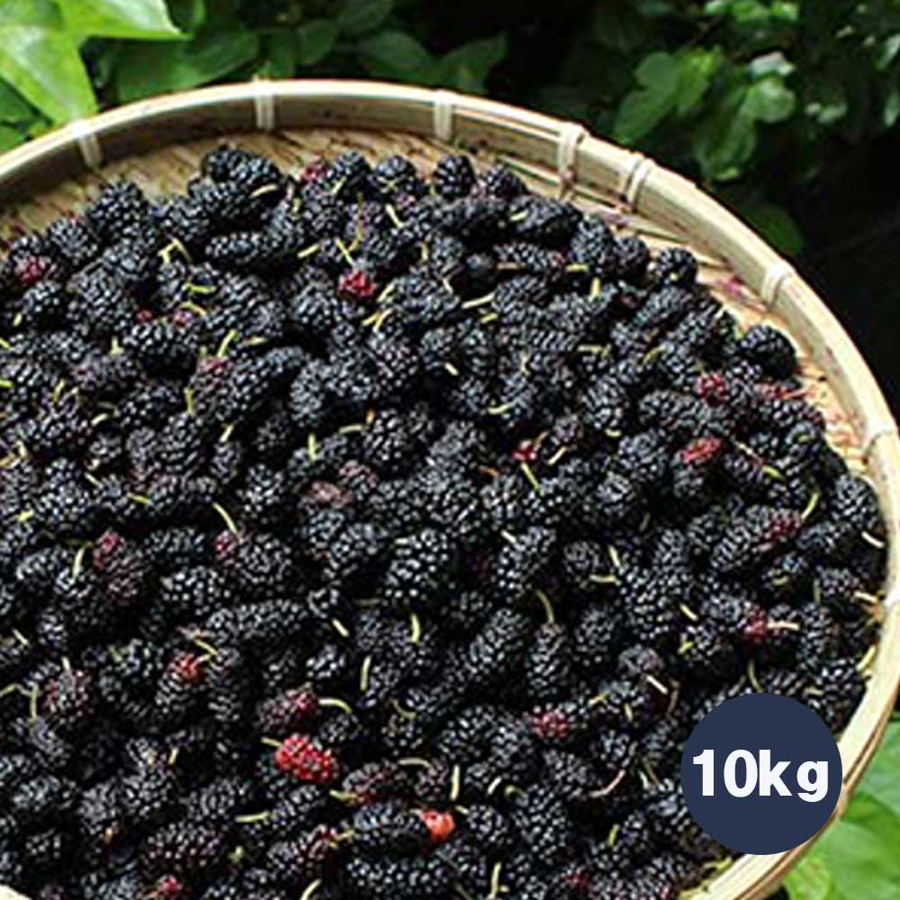 1717738171 thumbnail