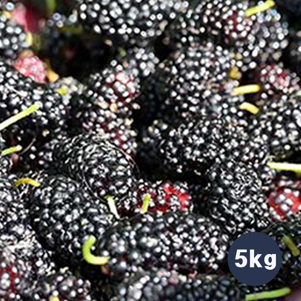 1717738173 thumbnail