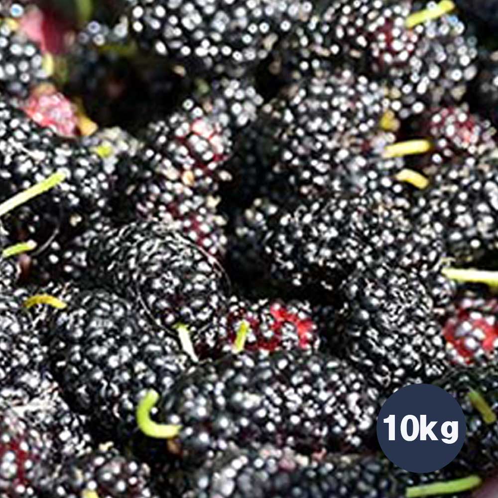 1717738174 thumbnail