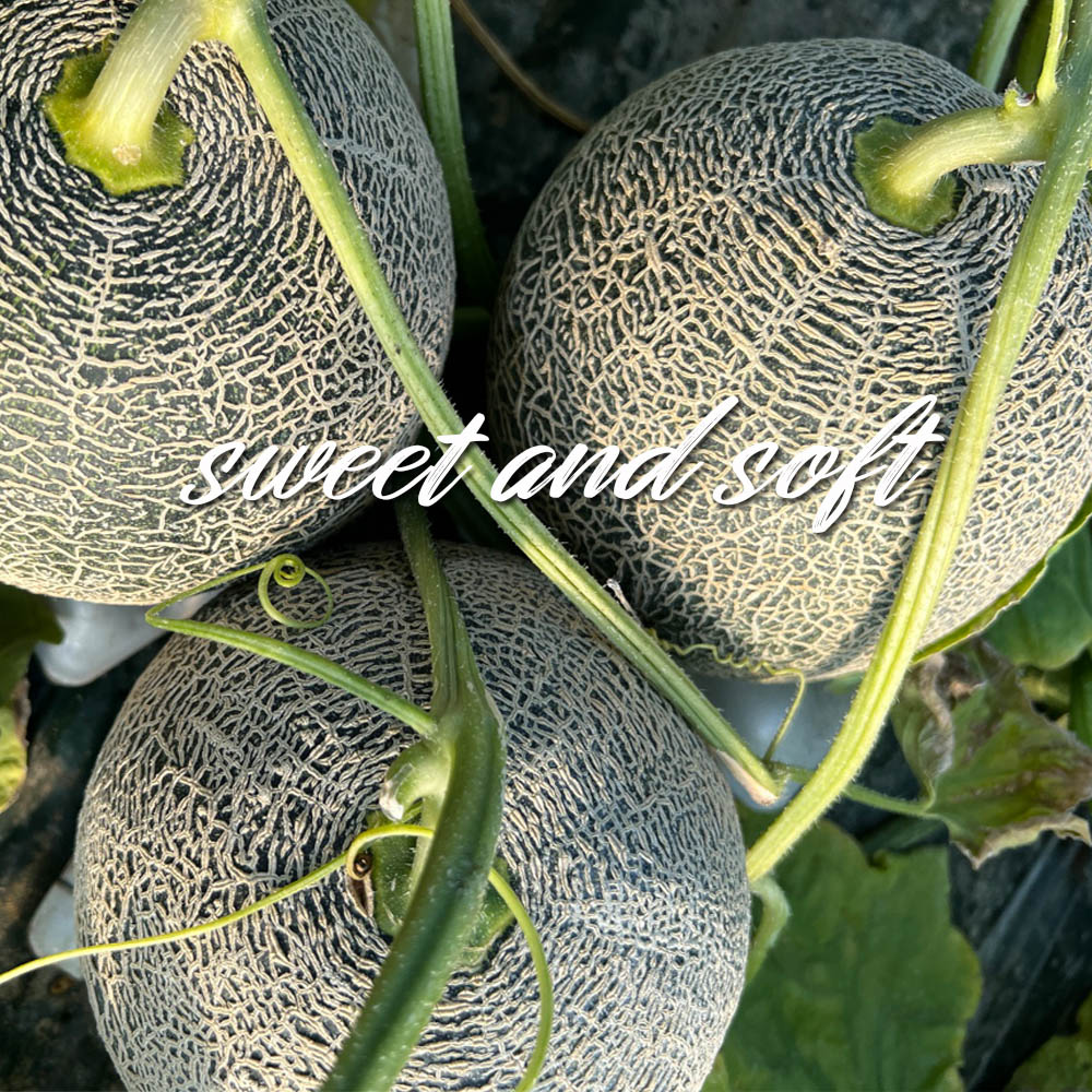 1717985888 thumbnail