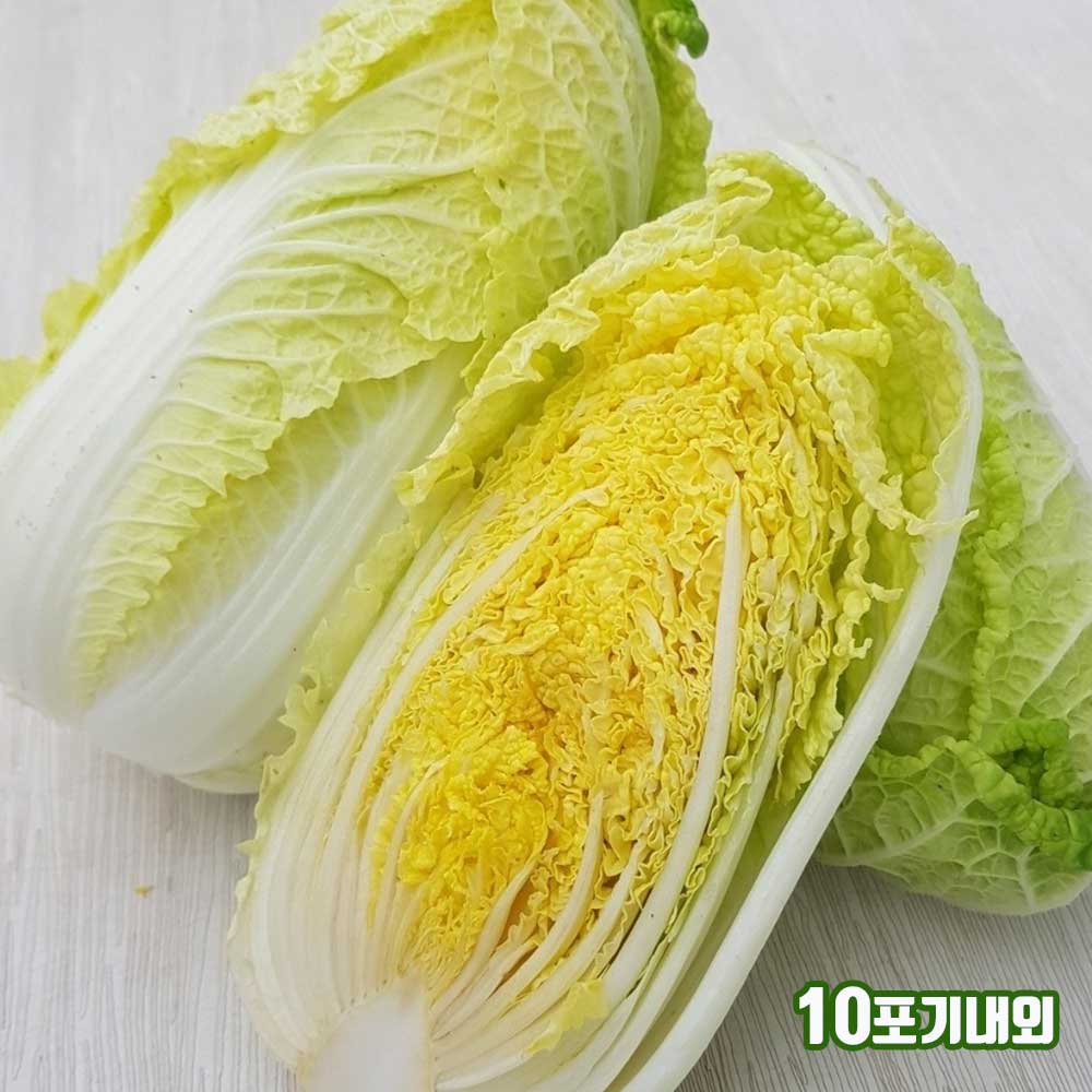 1718002916 thumbnail