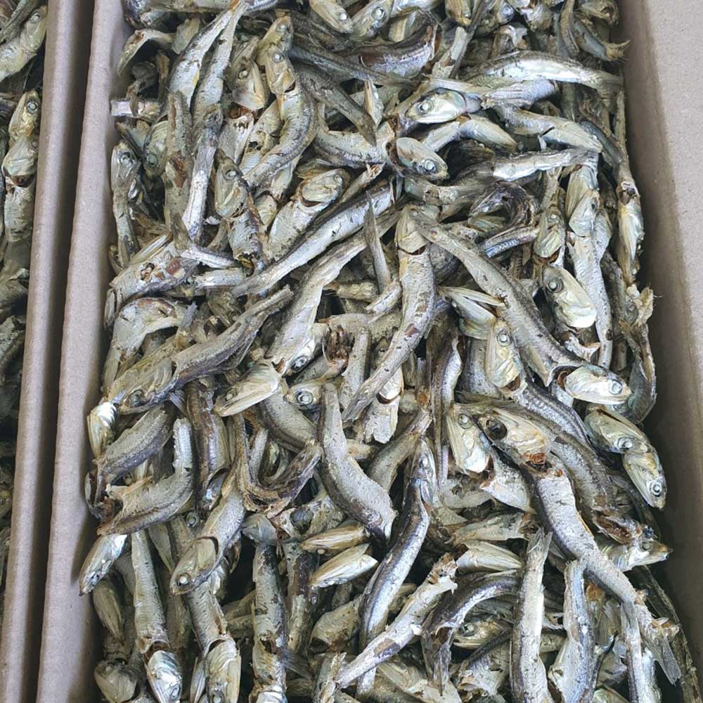 1718002918 thumbnail