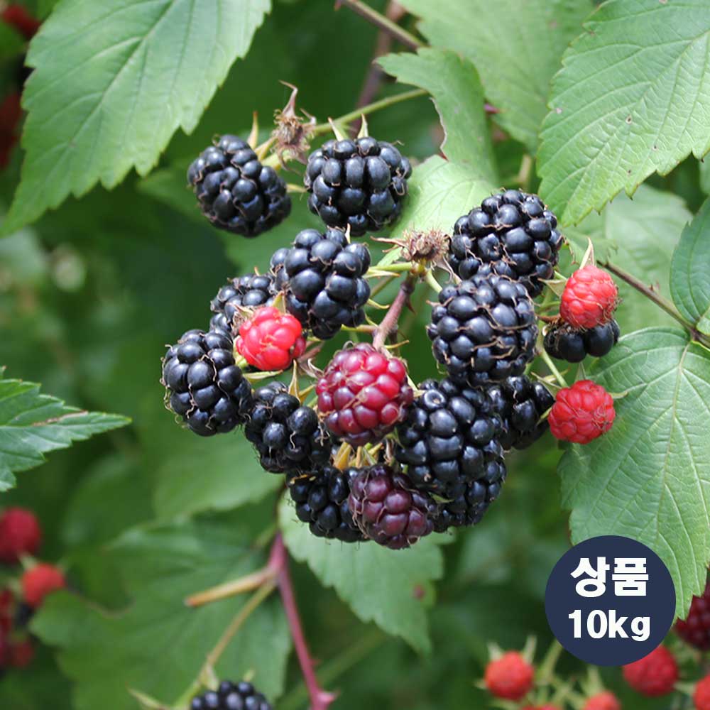 1718002920 thumbnail