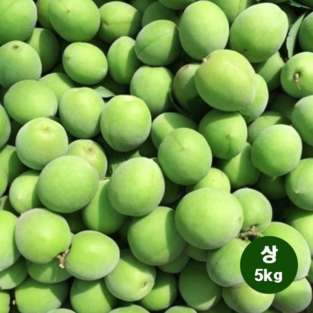 1718002925 thumbnail