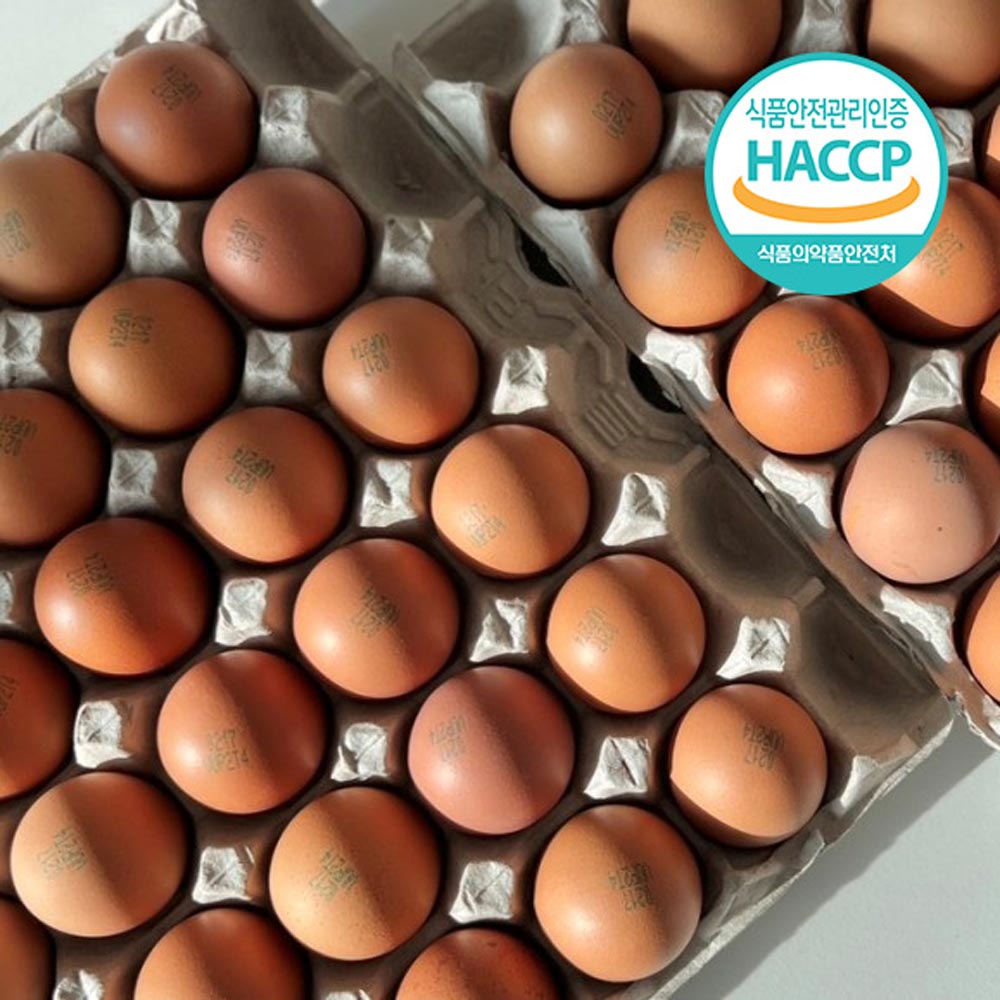 1718076017 thumbnail