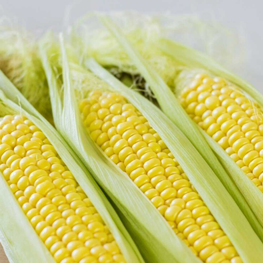 1718093218 thumbnail