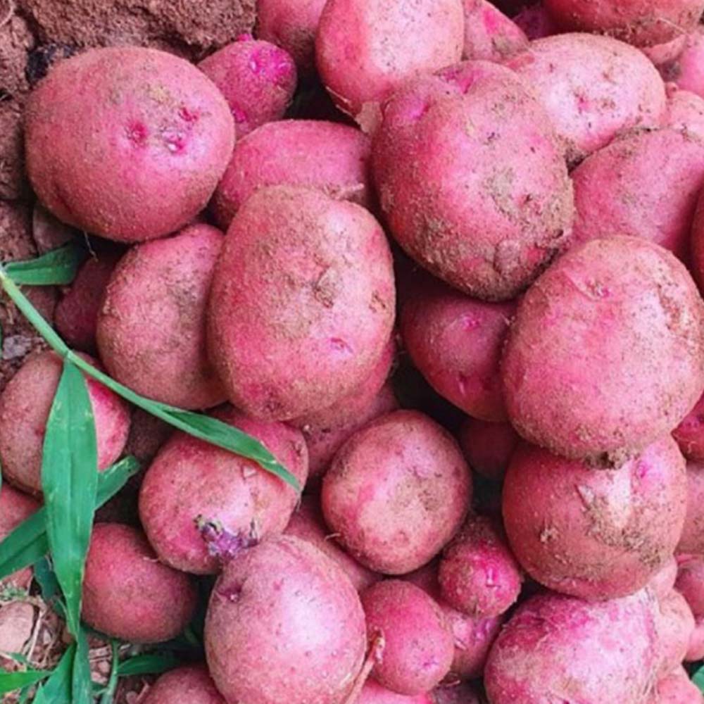 1718163153 thumbnail