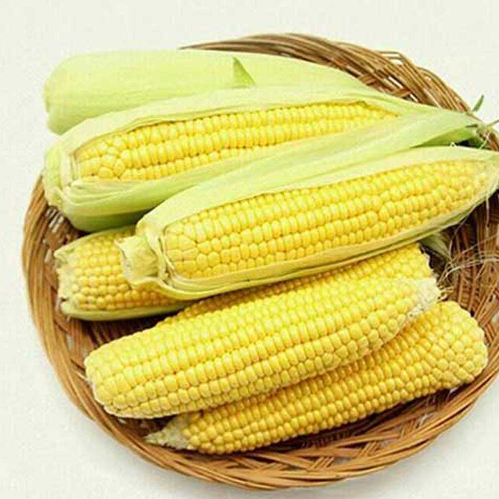 1718181130 thumbnail