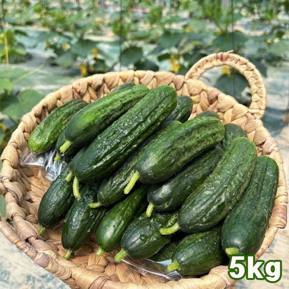 1718252600 thumbnail