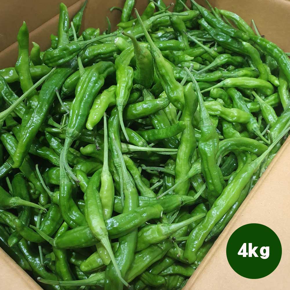 1718252606 thumbnail