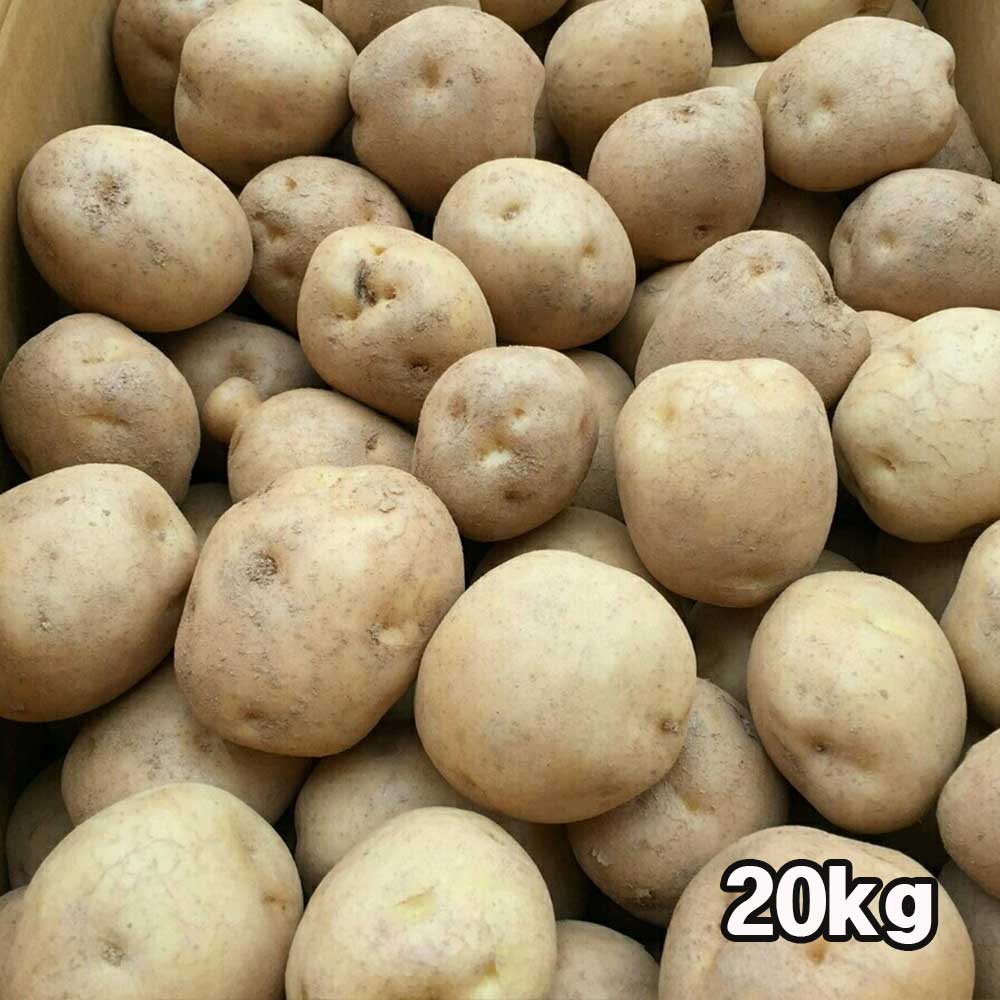 1718252608 thumbnail