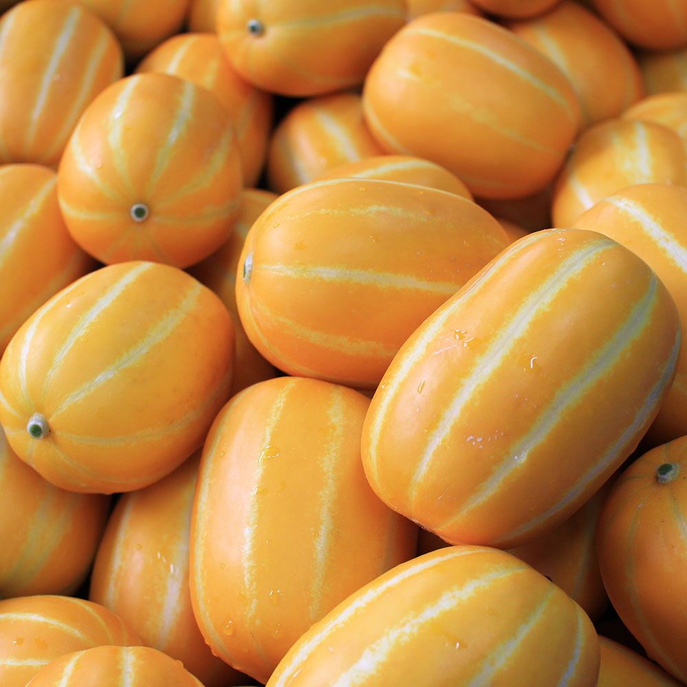 1718253473 thumbnail